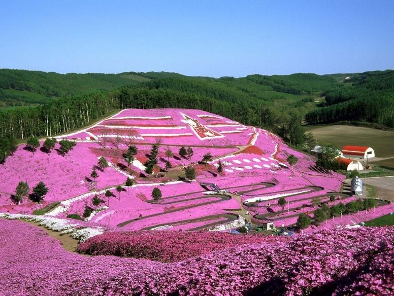 Kawayu Daiichi Hotel Suikazura Teshikaga Esterno foto